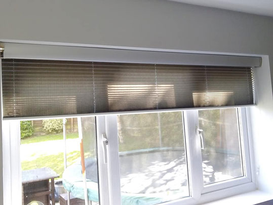 Pleated Blinds