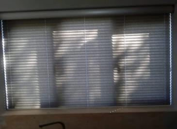 Pleated blinds